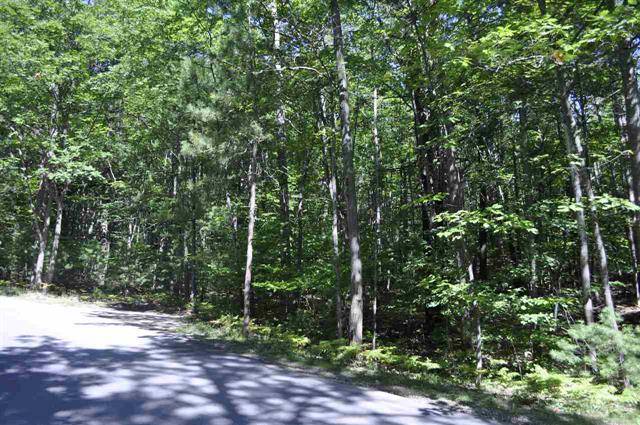 Glen Arbor Twp, MI 49636,10 Skippers Wood The Homestead