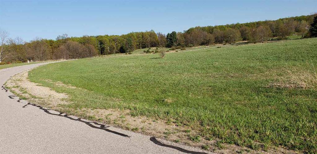 Helena Twp, MI 49612,Lot 43 Alden Meadows Lot: 43