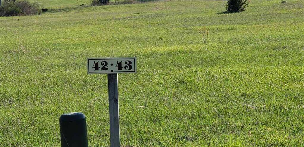 Helena Twp, MI 49612,Lot 42 Alden Meadows Lot: 42