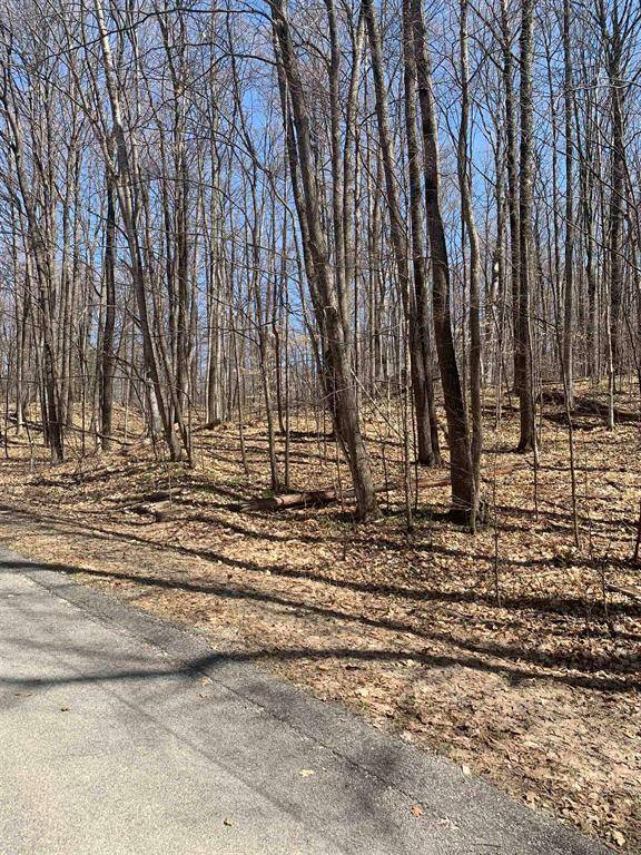 Kearney Twp, MI 49615,Lot 118 East Village Drive