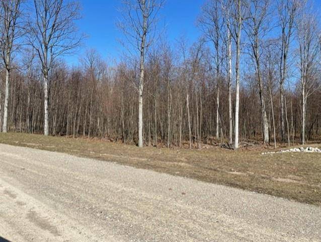 Kasson Twp, MI 49664,E S Arden Way Lot E Arden Way