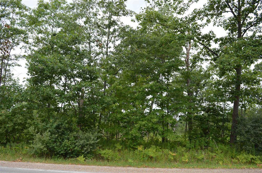 Long Lake Twp, MI 49685,Fisher Road