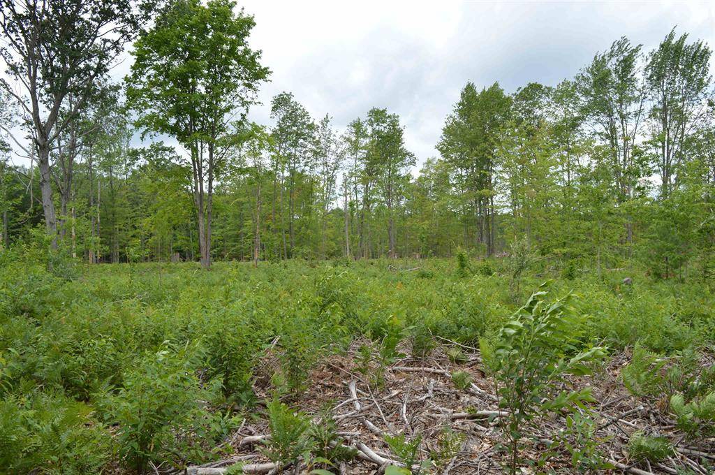 Long Lake Twp, MI 49685,Fisher Road