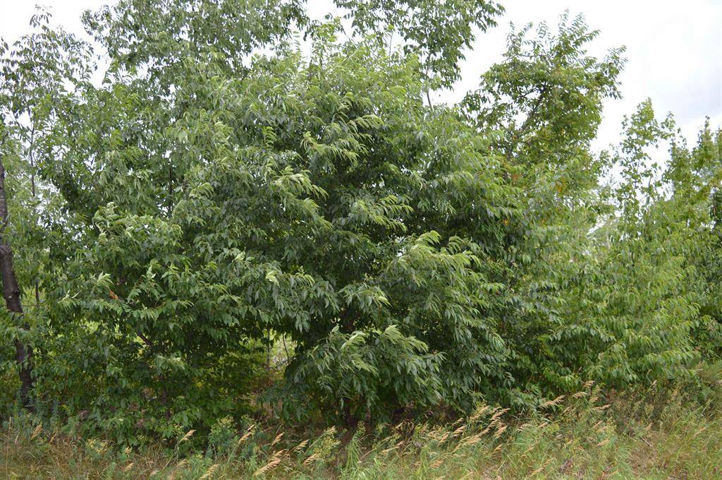 Long Lake Twp, MI 49685,Fisher Road
