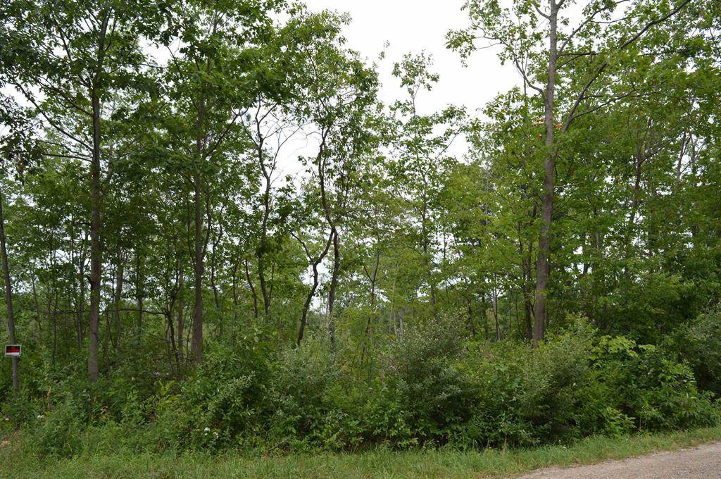Long Lake Twp, MI 49685,Fisher Road