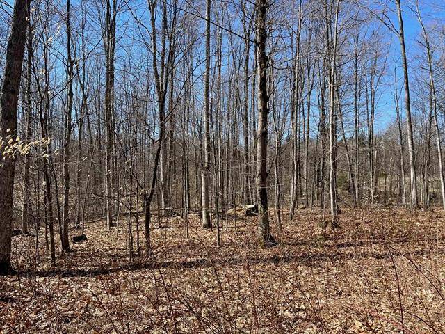 Joyfield Twp, MI 49616,Parcel 2 King Road Lot: 2