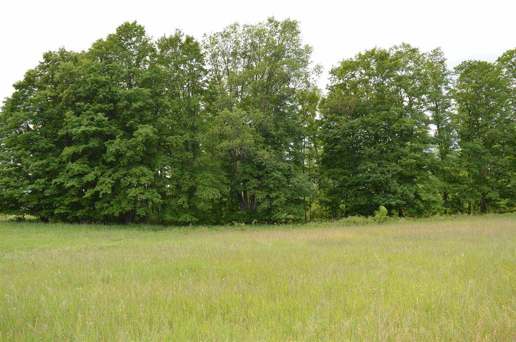 Paradise Twp, MI 49649,I Summit City Road Lot: I