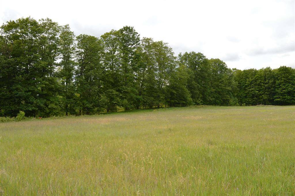 Paradise Twp, MI 49649,L Summit City Road Lot: L