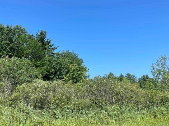 Cherry Grove Twp, MI 49601,00 S 35 Road