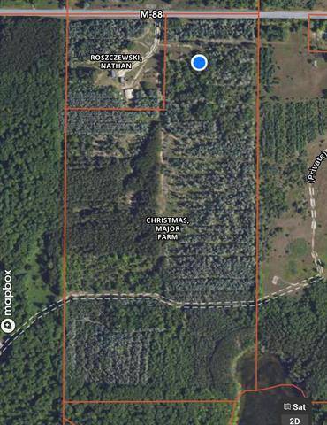 Custer Twp, MI 49659,TBD M-88