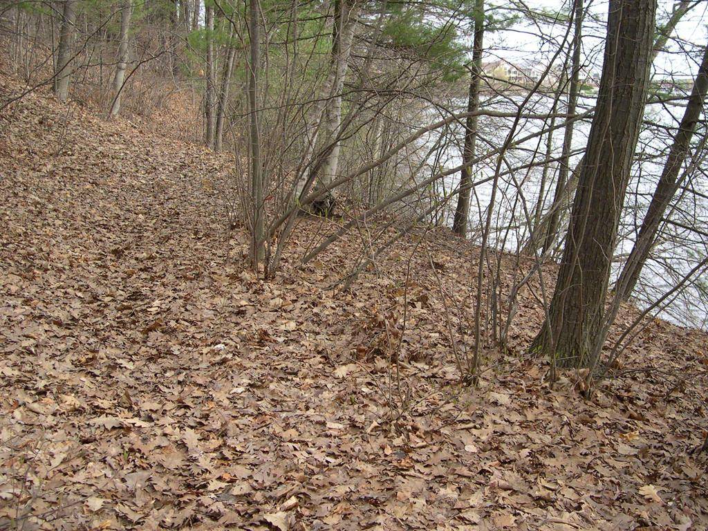 Traverse City, MI 49684,1565 Edgewater Ridge Lot: 4