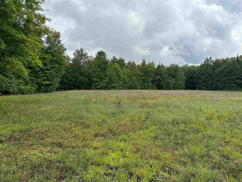Cold Springs Twp, MI 49659,6125/6151 Cunningham Road
