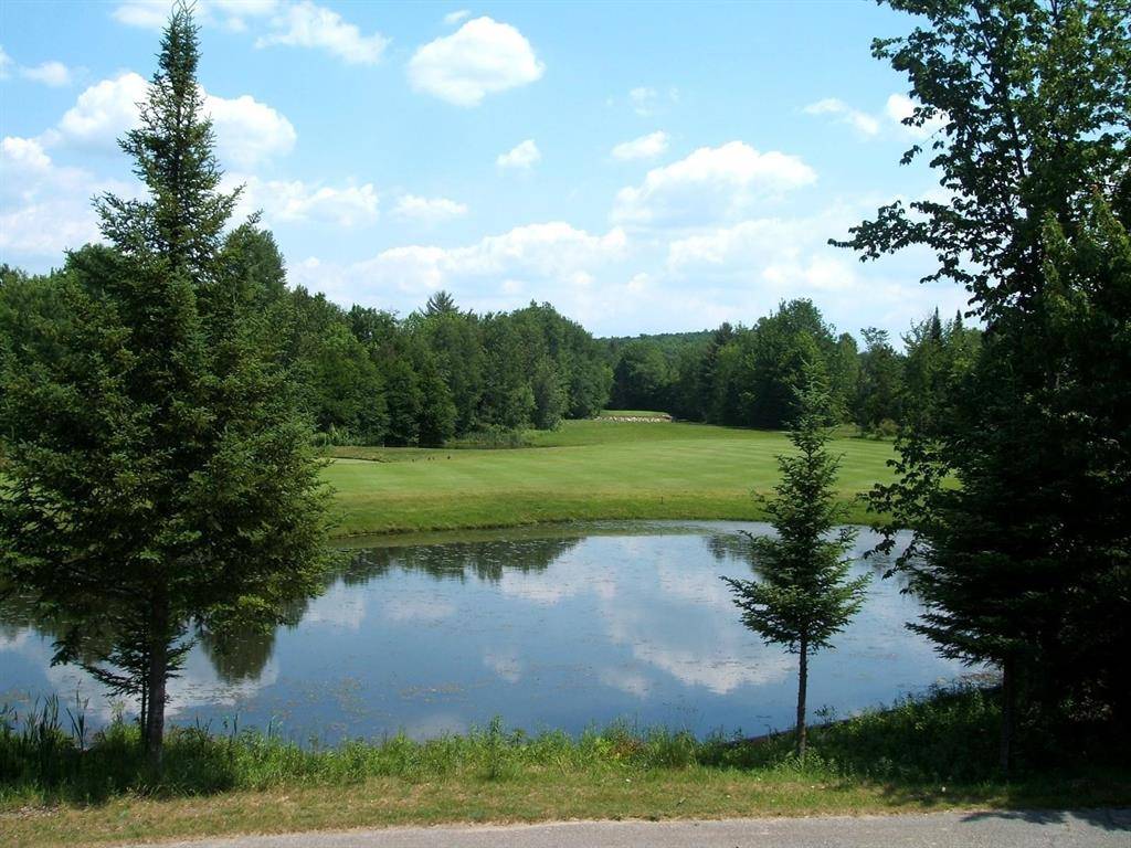 Custer Twp, MI 49615,VL N Klaffen Strasse