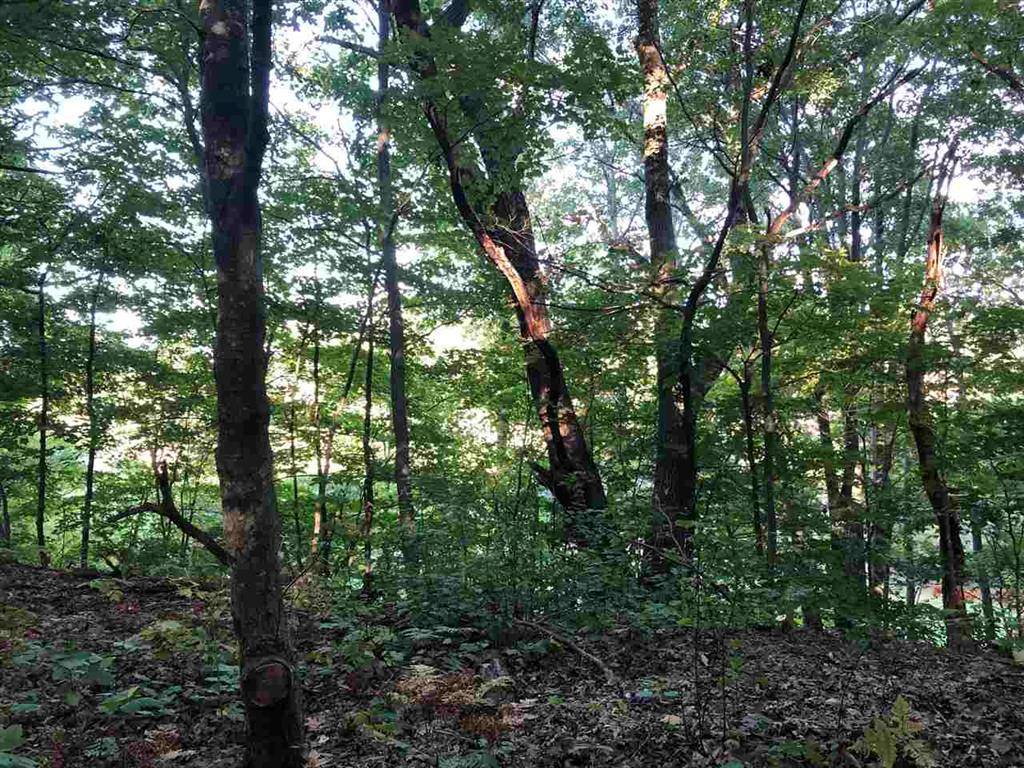 Lake Twp, MI 49635,LOT 122 Crystal Downs Drive