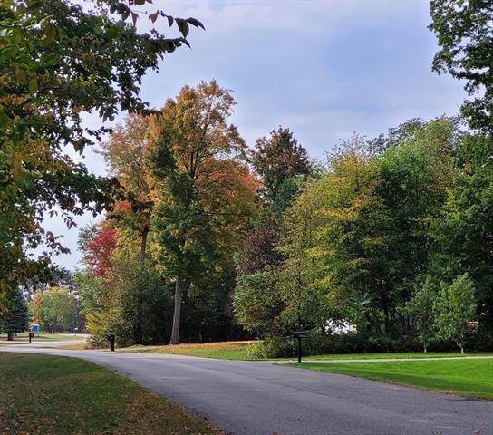 Benzonia Twp, MI 49616,Lot 21 Lipp Farm