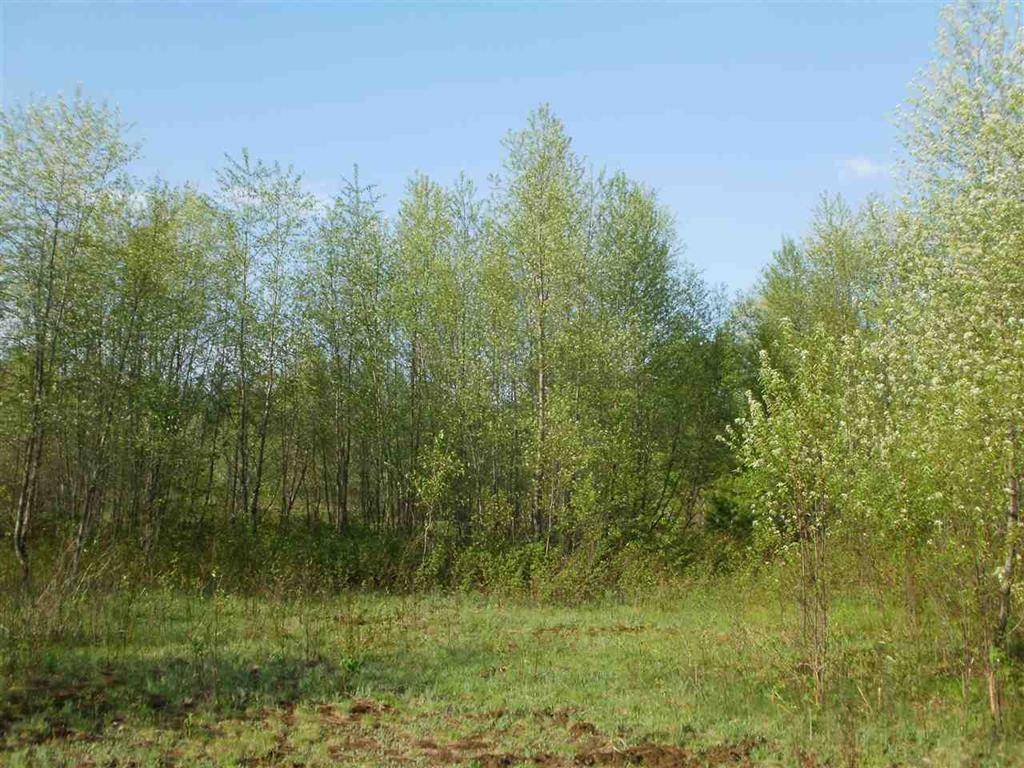 Selma Twp, MI 49601,Lot 3 Spring Valley Drive