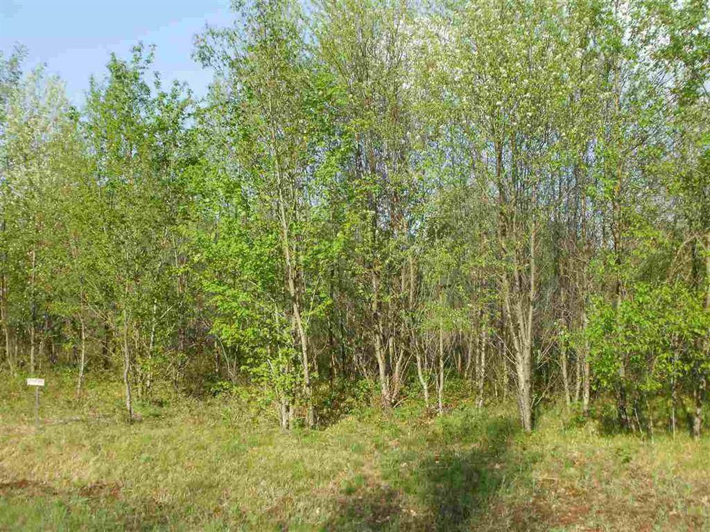 Selma Twp, MI 49601,Lot 4 Spring Valley Drive