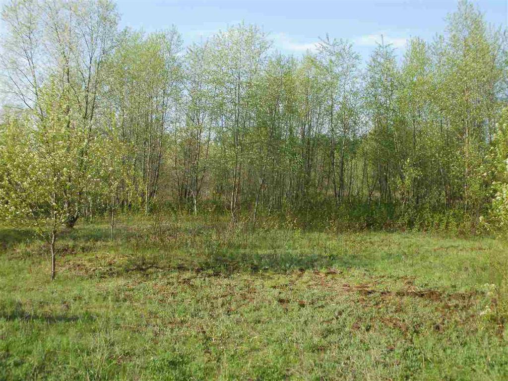 Selma Twp, MI 49601,Lot 5 Spring Valley Drive
