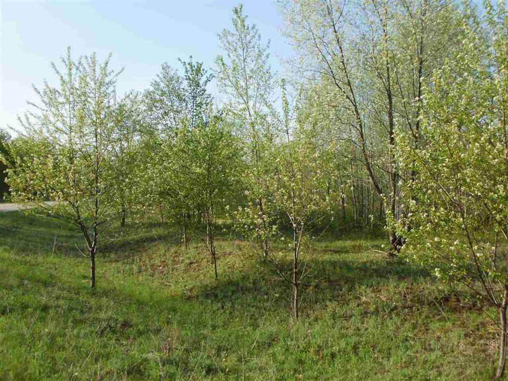 Selma Twp, MI 49601,Lot 48 Sweetwater Drive