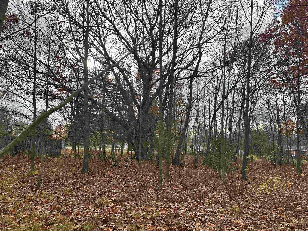 Haring Twp, MI 49601,3203 Cecil Road