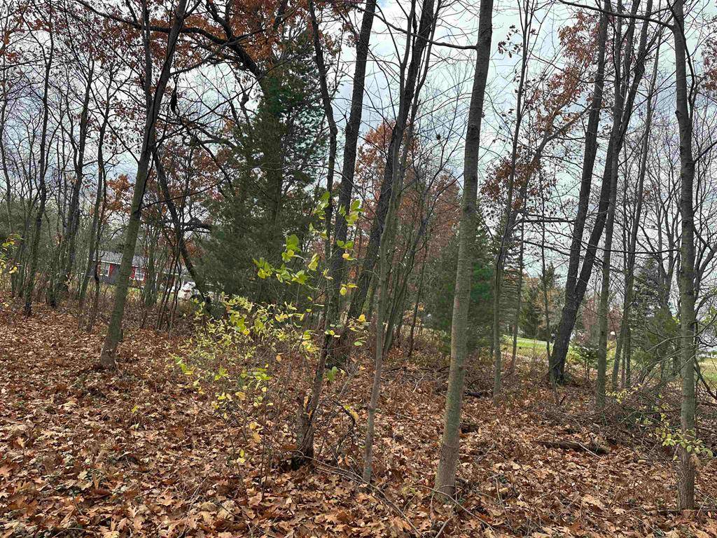 Haring Twp, MI 49601,3203 Cecil Road