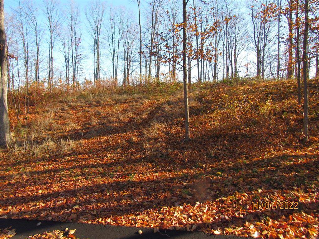 Blair Twp, MI 49637,4167 Maple Hill Road