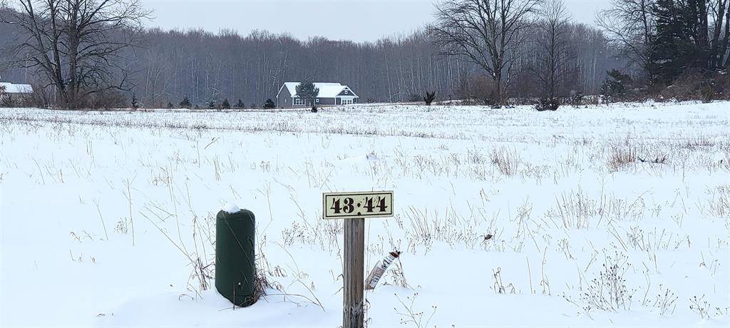 Helena Twp, MI 49612,LOT 44 Alden Meadows Lot: 44