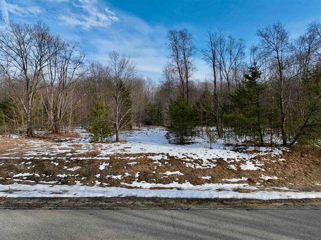 Selma Twp, MI 49601,Lot 15 Spring Valley