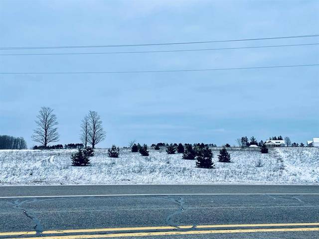 Blair Twp, MI 49685,75 S East Silver Lake