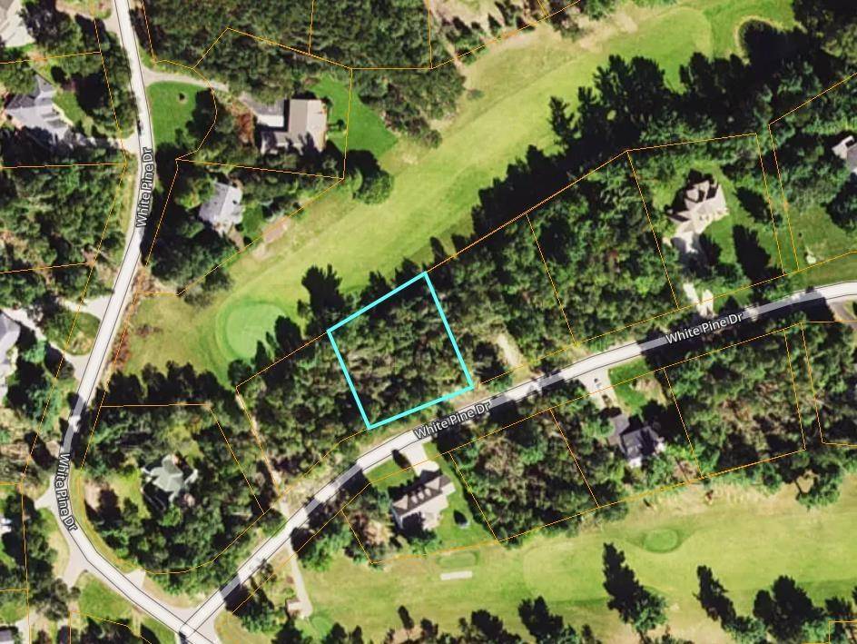 Cherry Grove Twp, MI 49601,Lot 29 White Pine Drive