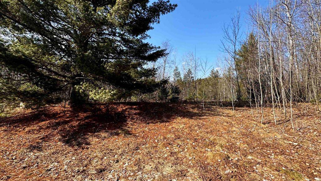 Cherry Grove Twp, MI 49601,Lot 30 White Pine