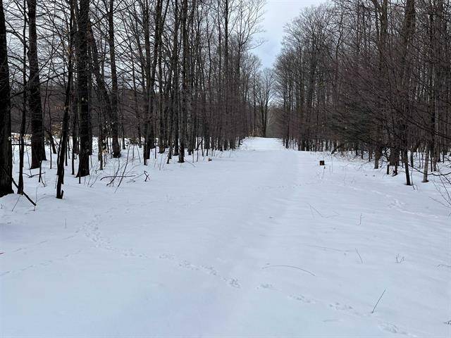 Empire Twp, MI 49630,S Benzonia Lot: B