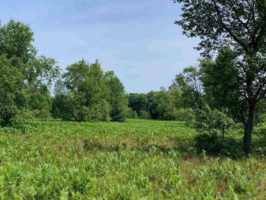 Springfield Twp, MI 49668,00 Vista Valley Trail