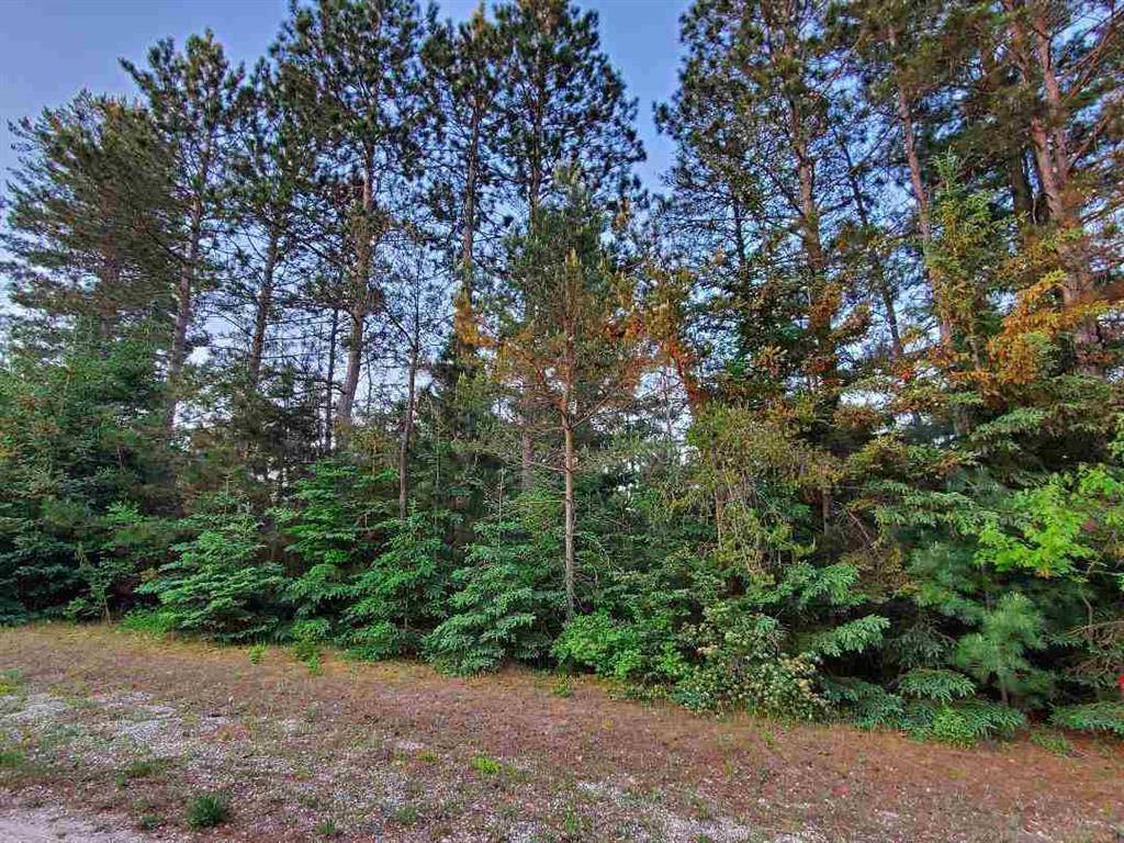 Springville Twp, MI 49668,000 Howard Street