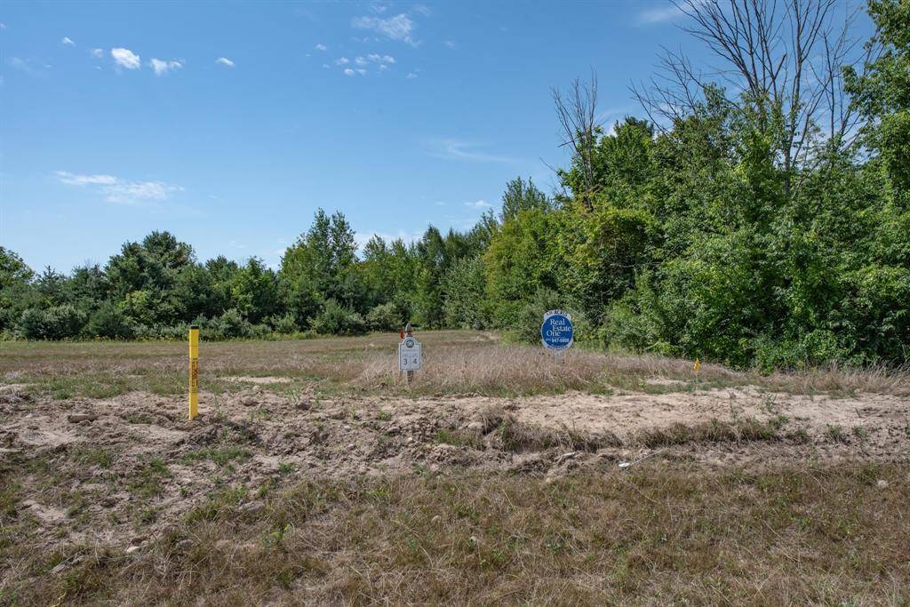 Elk Rapids Twp, MI 49690,Lot 4 Elk Vista Court