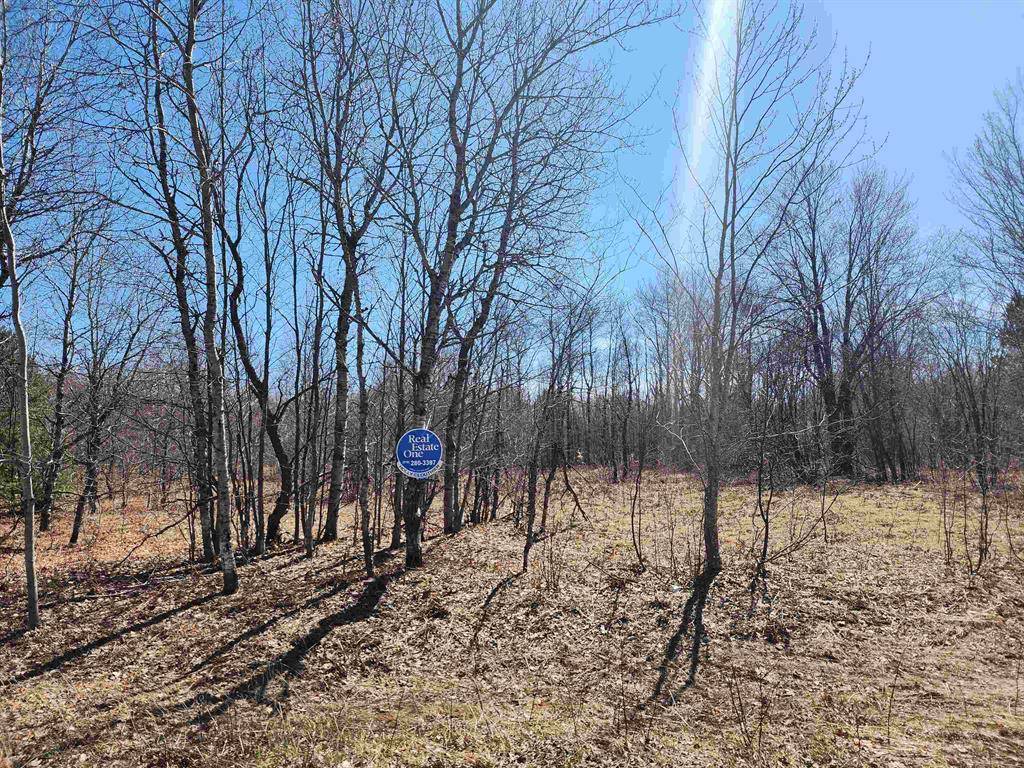 Mancelona Twp, MI 49659,Valley Park Drive