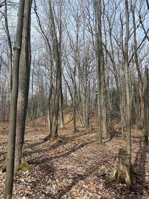 Elk Rapids Twp, MI 49629,8204 Partridge Woods