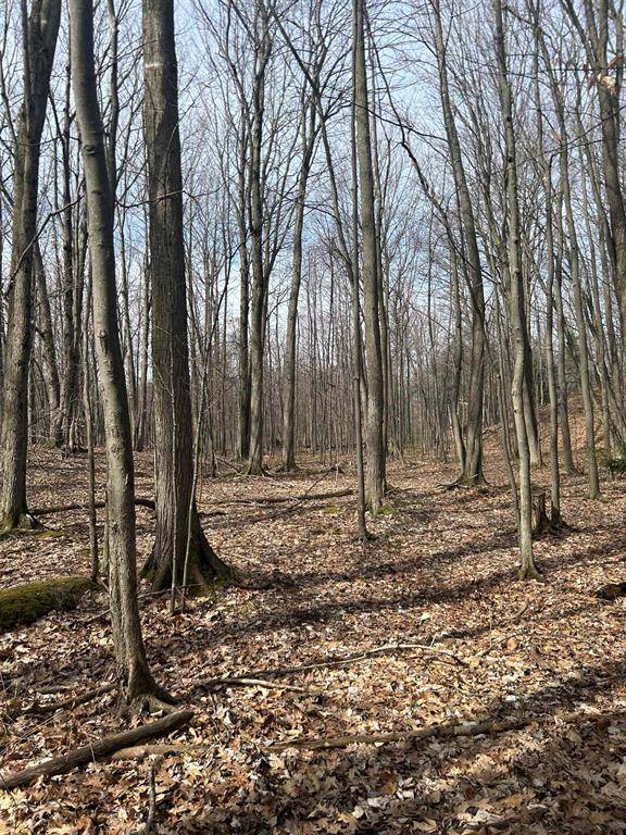 Elk Rapids Twp, MI 49629,8204 Partridge Woods