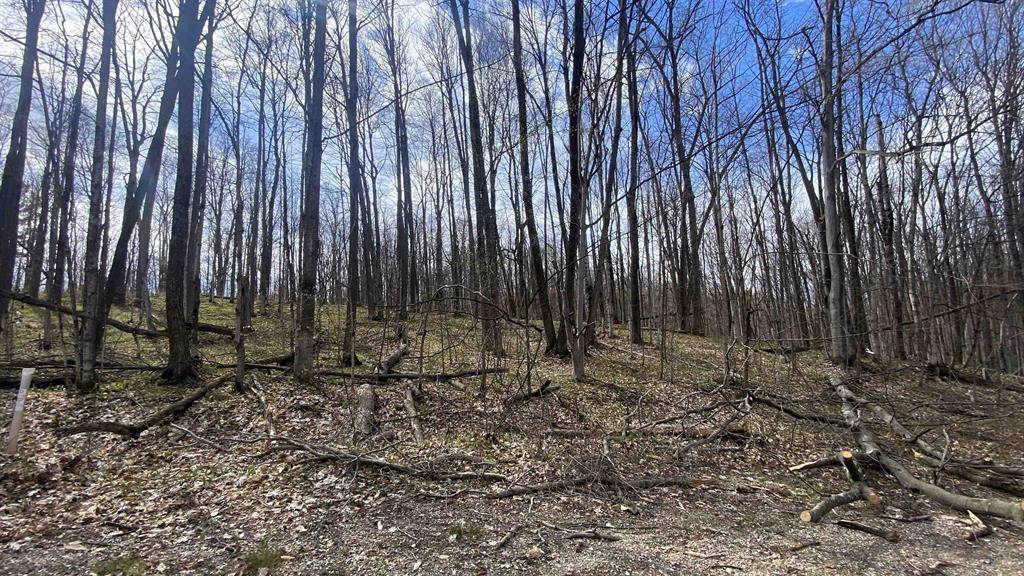 Kearney Twp, MI 49615,Lots 292-293 Jaeger Strasse Lot: 292/93