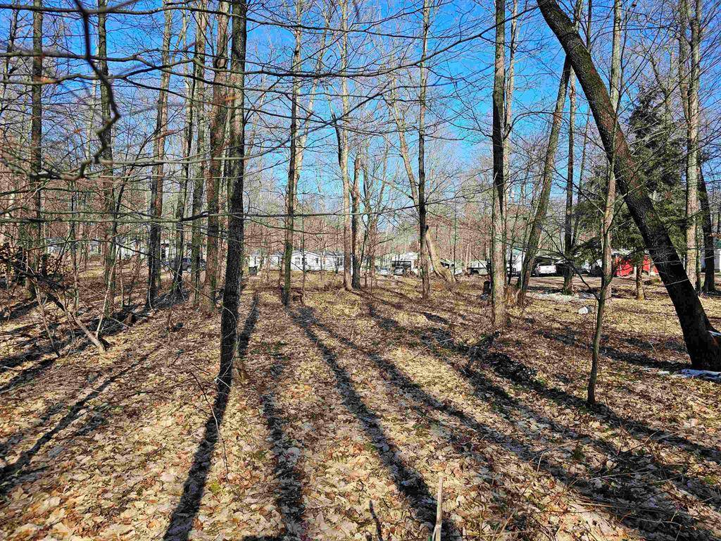 Selma Twp, MI 49668,00 Manistee Road