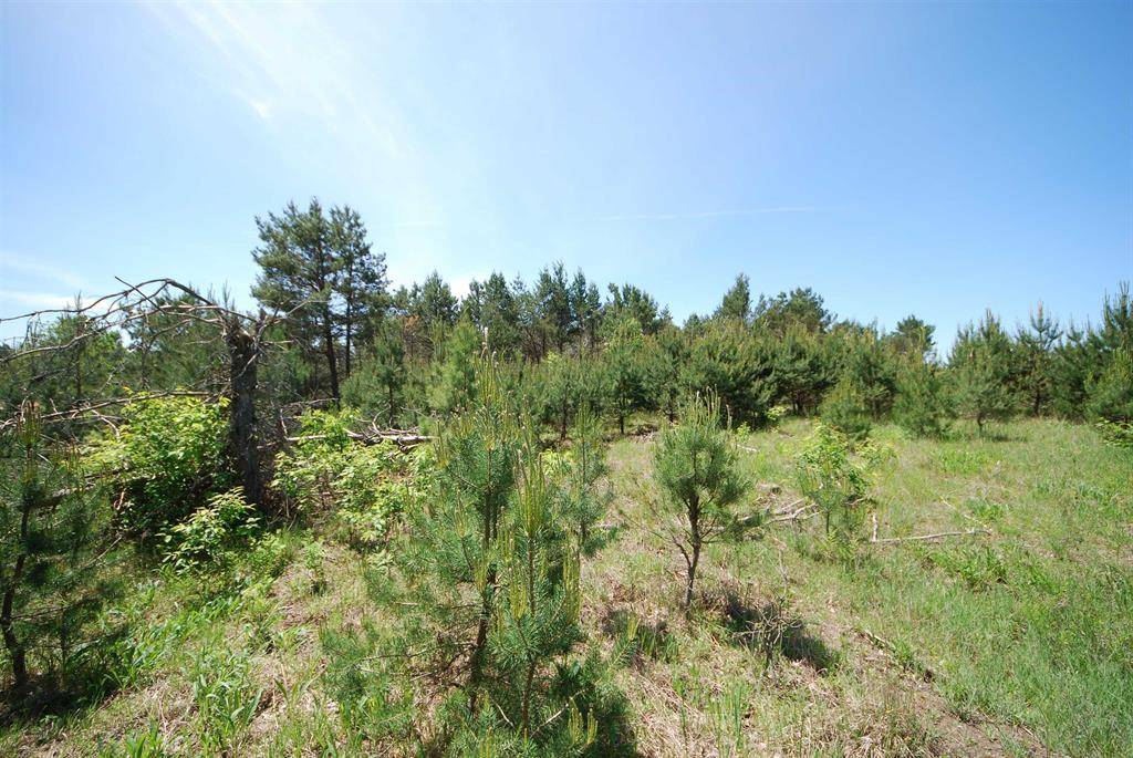 Kalkaska Twp, MI 49646,SE Riley Road Parcel #4 Lot: 4