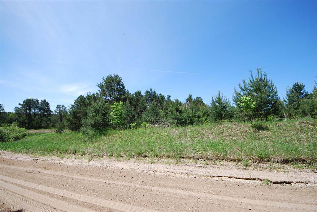 Kalkaska Twp, MI 49646,SE Riley Road Parcel #4 Lot: 4