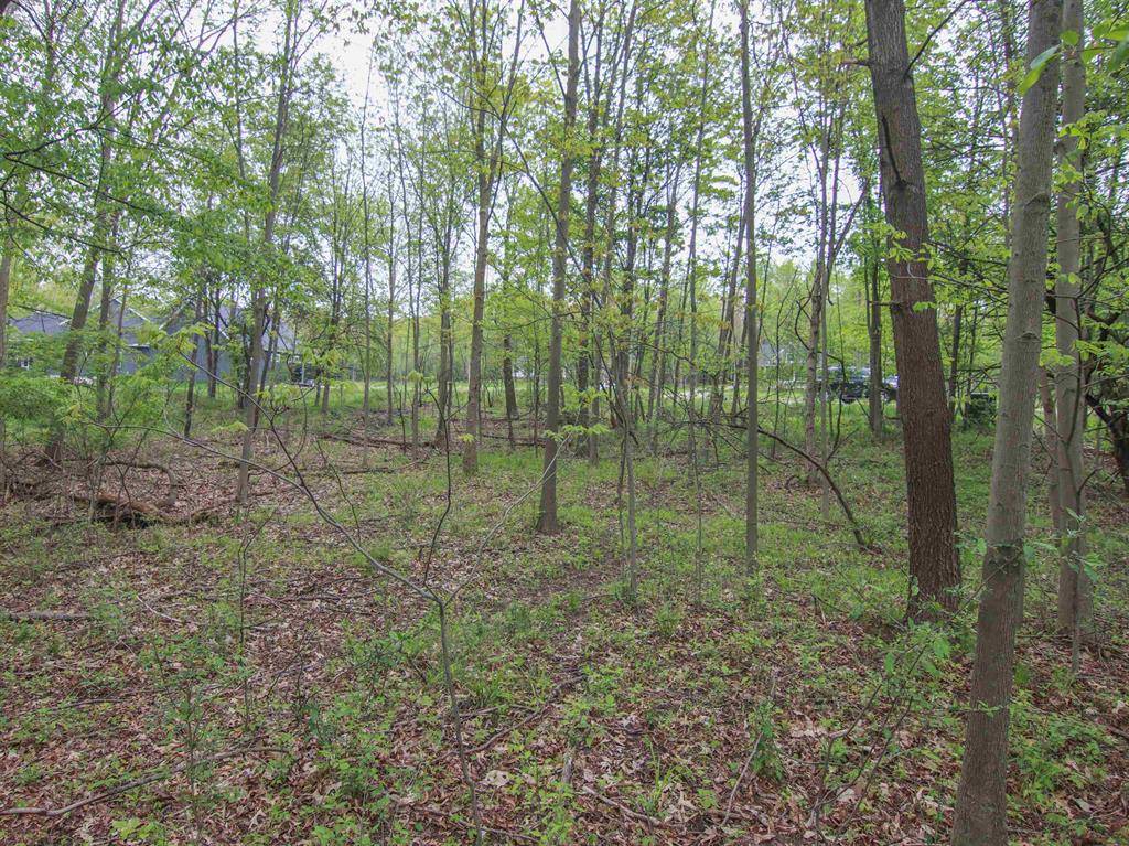 Tyrone Twp, MI 48430,000-Unit 3 Ledgewood Ravine Trail