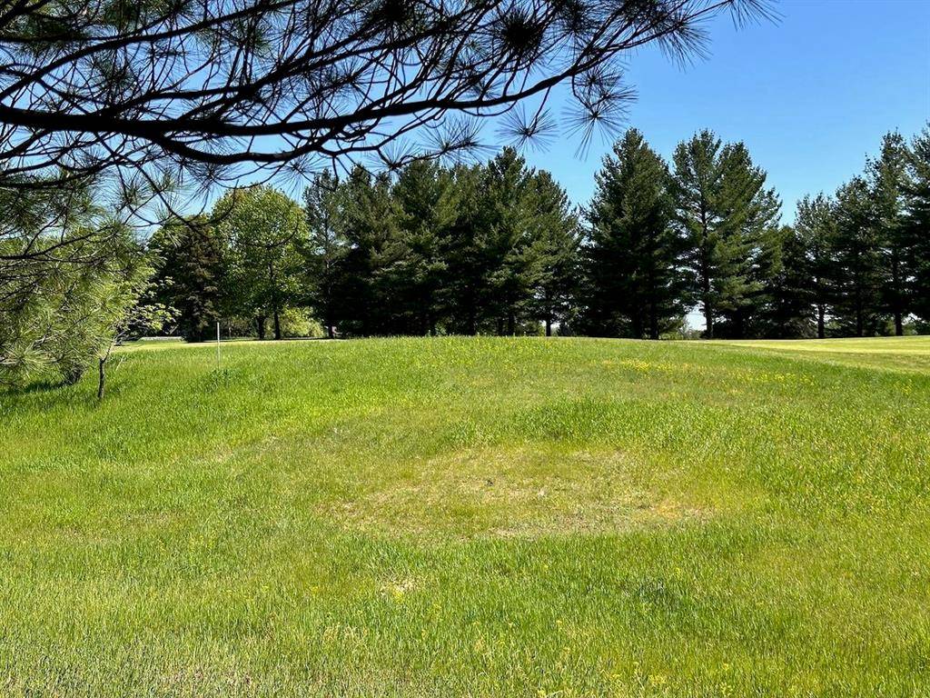 Kearney Twp, MI 49615,Lot 7 Schoolcraft Road Lot: 7