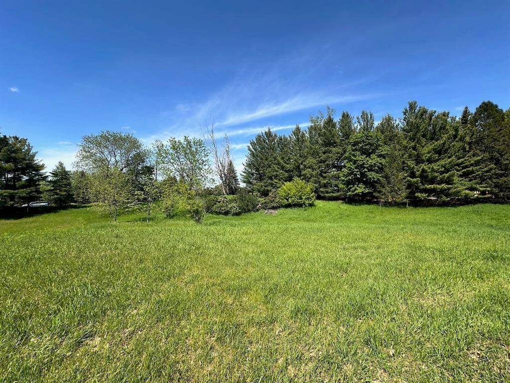 Kearney Twp, MI 49615,Lot 8 Schoolcraft Road Lot: 8