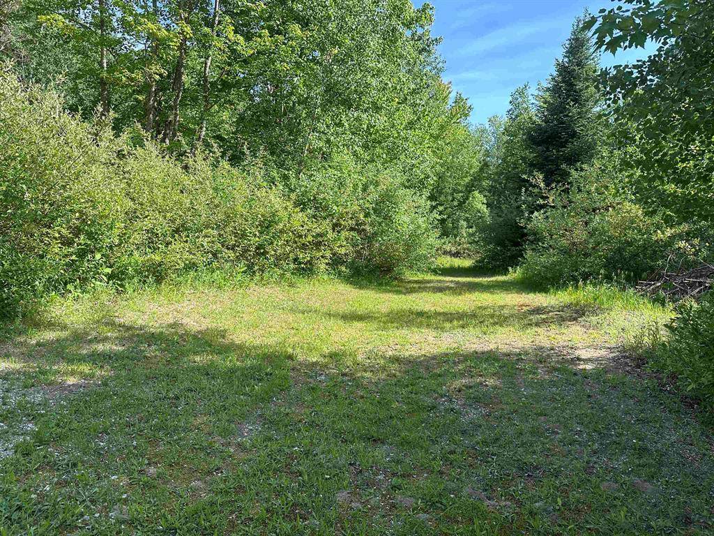 Selma Twp, MI 49601,0 Fern Avenue