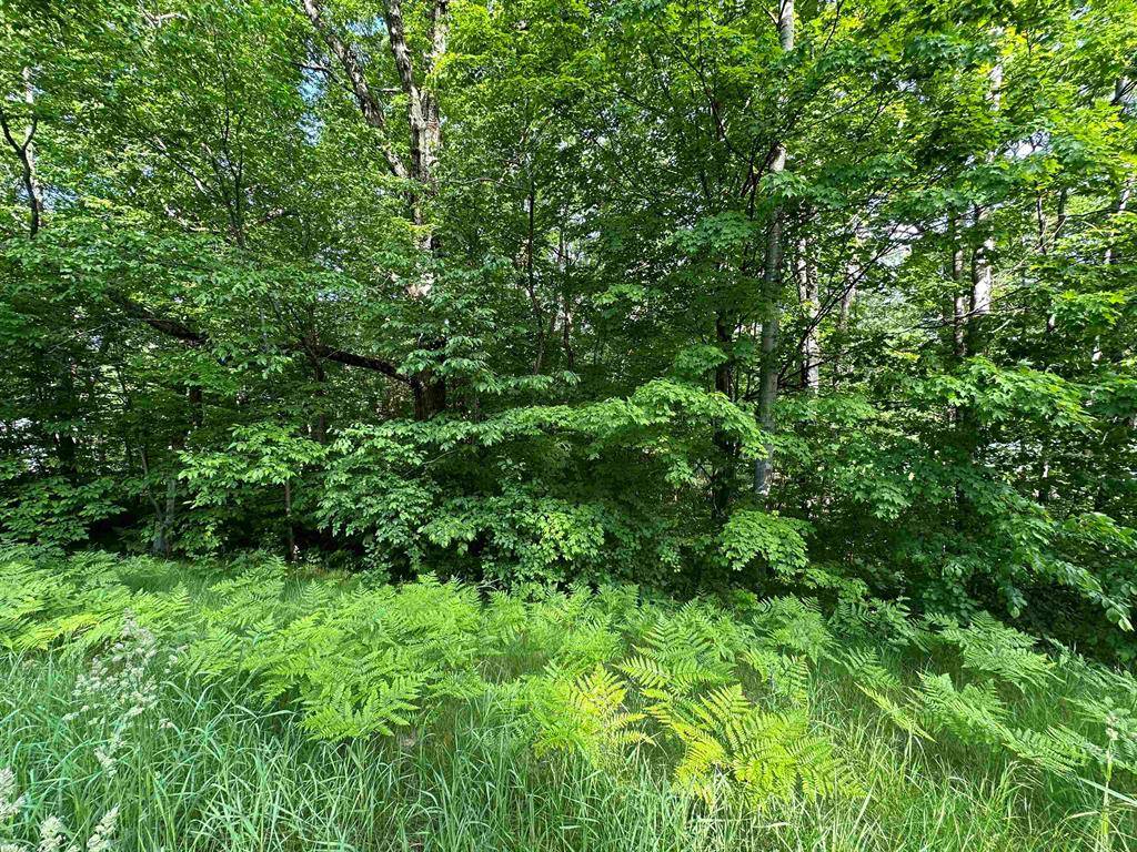 South Branch Twp, MI 49601,Lot 14 M-37