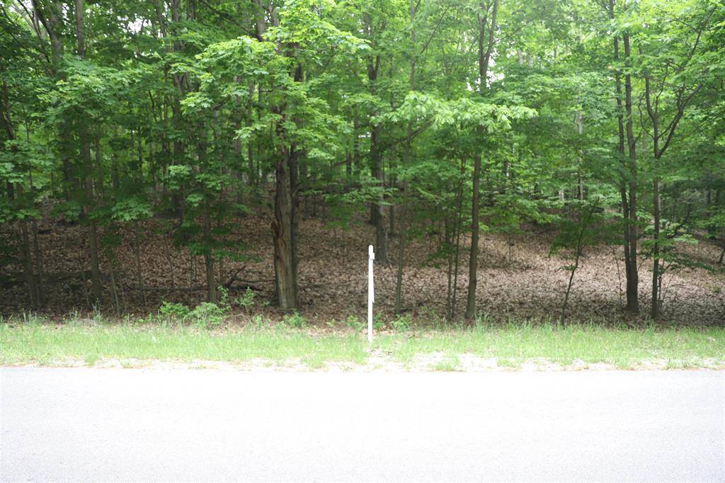 Lake Twp, MI 49617,lot 20 Crystal View