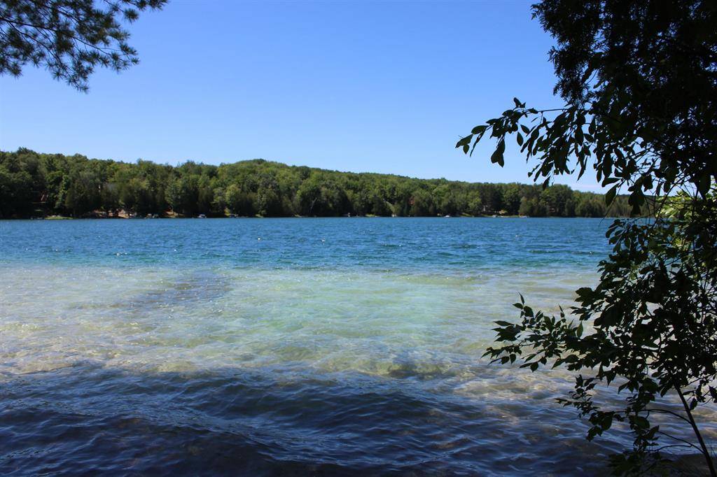 Blue Lake Twp, MI 49646,Merrill