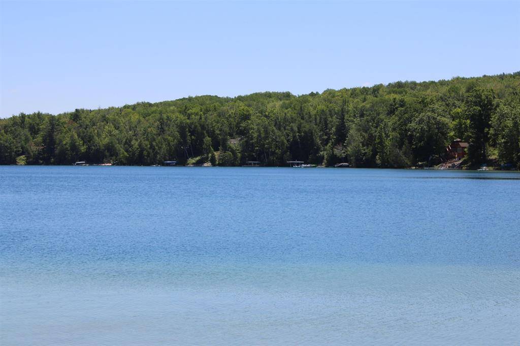 Blue Lake Twp, MI 49646,Merrill Avenue